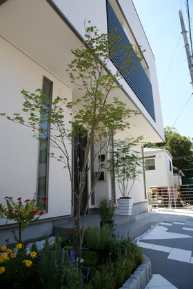 外壁の白に植栽の緑が生えています