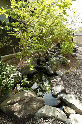 庭に求めたのは、木陰と清涼。防災を兼ねる井戸からの地下水が清らかなビオトープを織り成します。